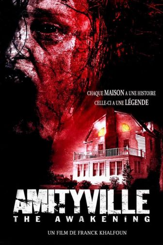 image: Amityville : the Awakening