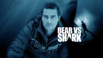 image: Bear Grylls face aux requins