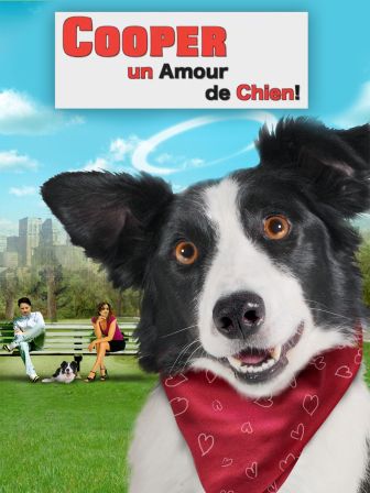 image: Cooper un amour de chien