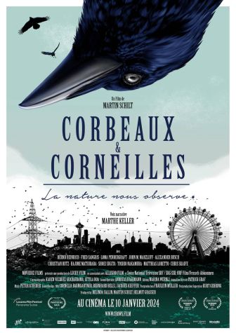 image: Corbeaux et corneilles - La nature nous observe !