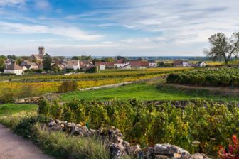 image: De la ville à la campagne : un changement de vie de tous les défis