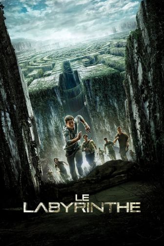 image: Le labyrinthe