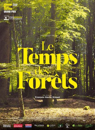 image: Le temps des forêts