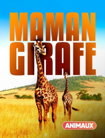 image: Maman girafe