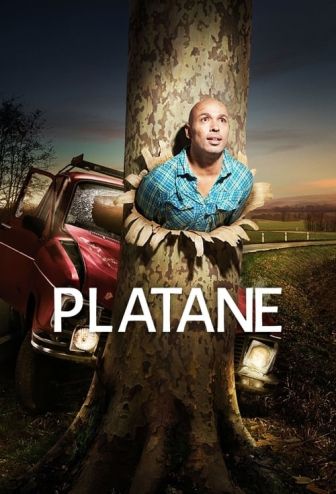 image: Platane