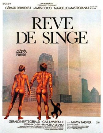 image: Rêve de singe